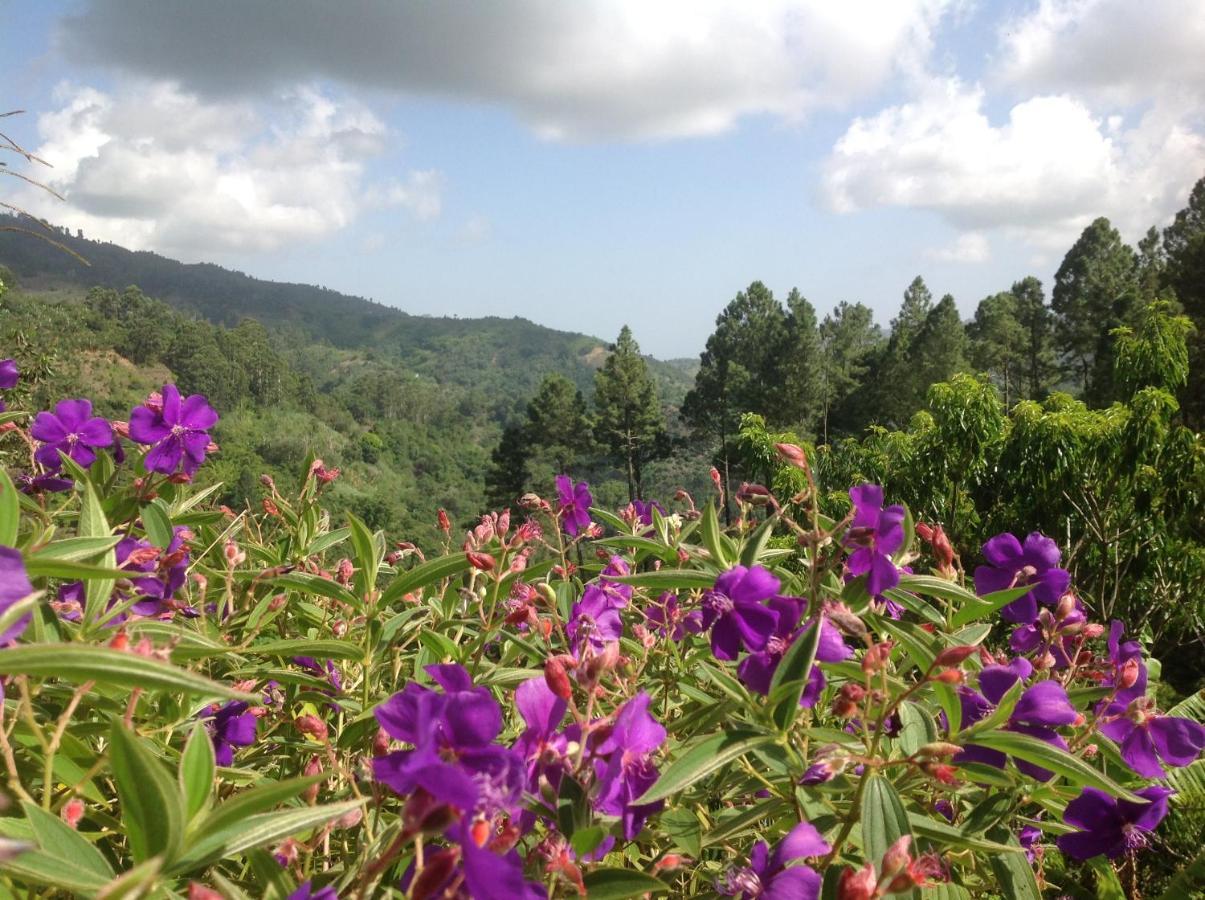 Starlight Chalet & Health Spa Spa Spring Dış mekan fotoğraf